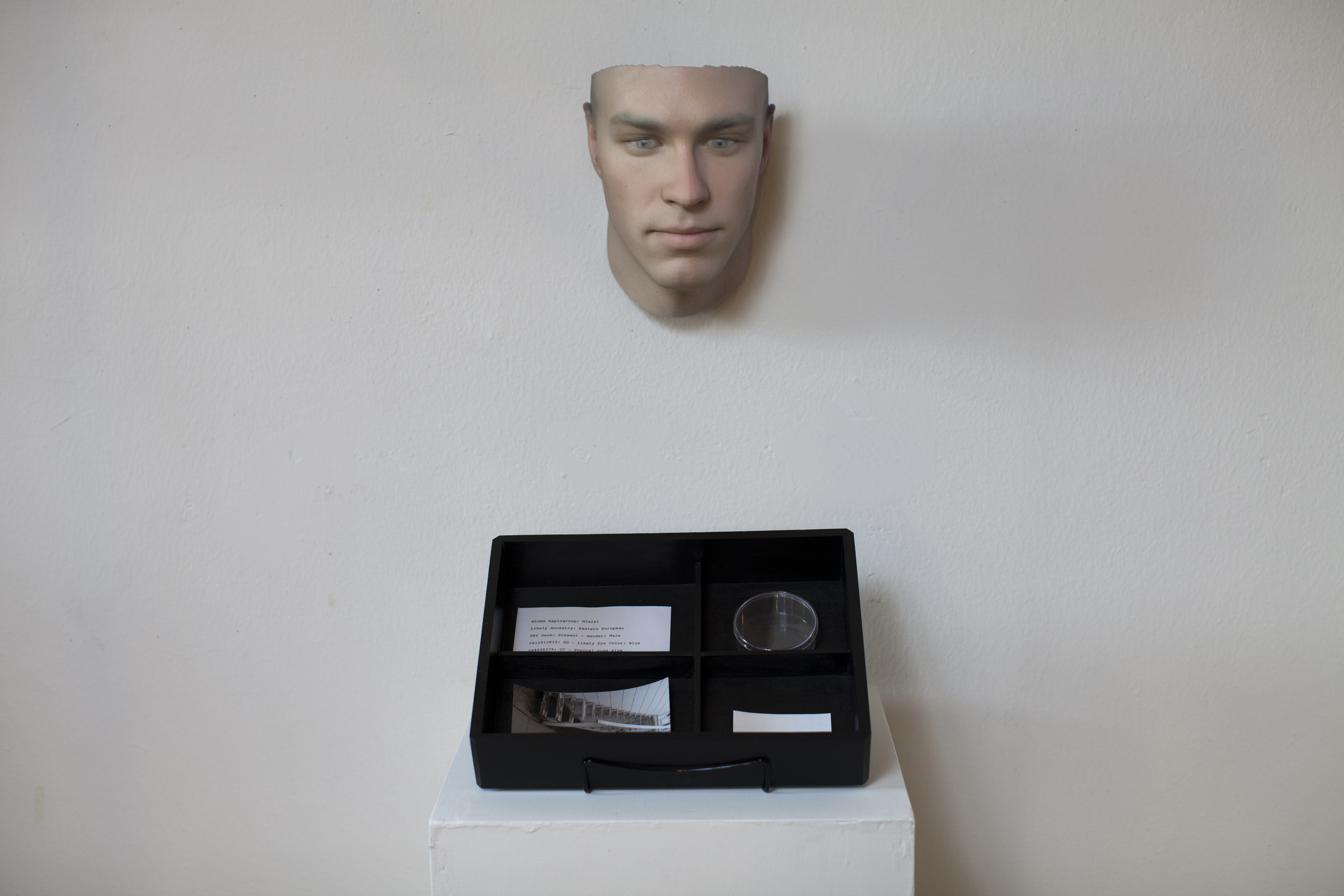 Heather Dewey-Hagborg - Stranger Visions (2012-2013) | Found genetic materials, custom software, 3d prints, documentation; Dimensions vary | Courtesy of Heather Dewey-Hagborg