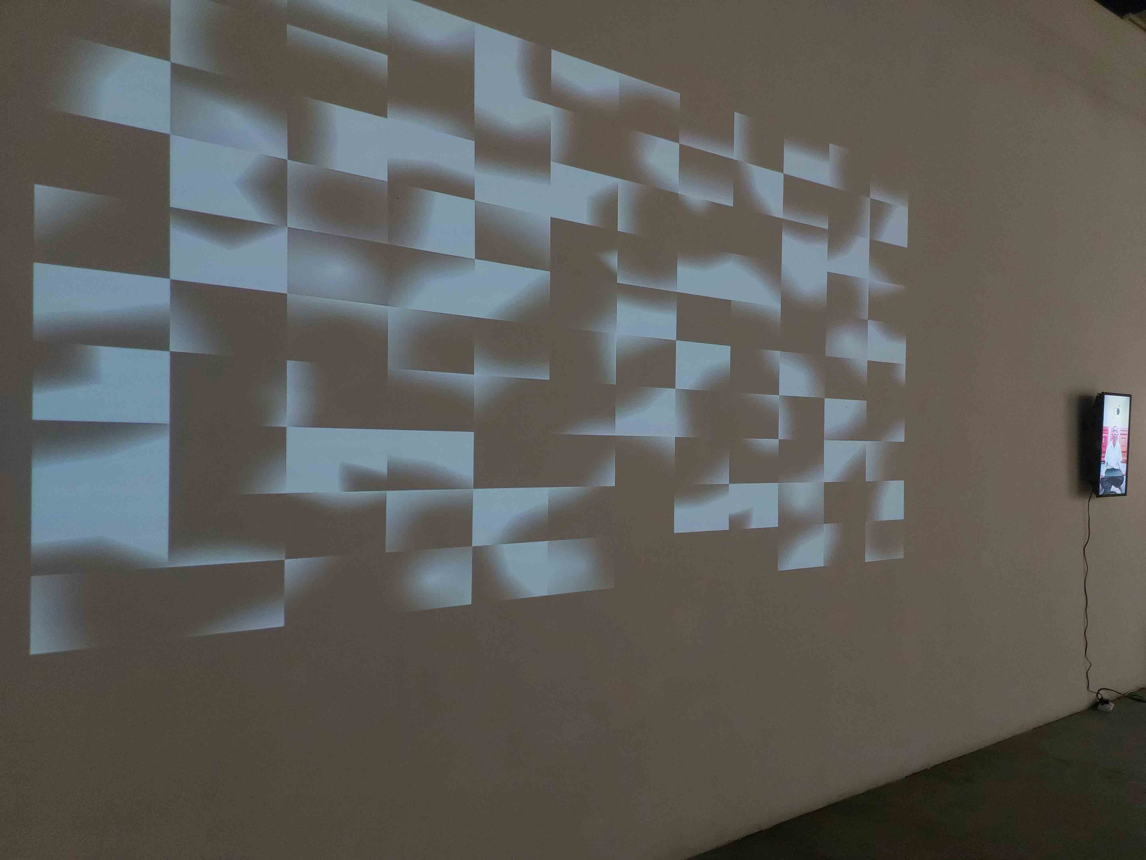 Heather Dewey-Hagborg - How do you see me? (2020) Installation view