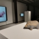 Installation view: Heather Dewey-Hagborg - Hybrid: an Interspecies opera | Single channel film and 3d-printed ceramic sculptures with cast glass pedestal surface