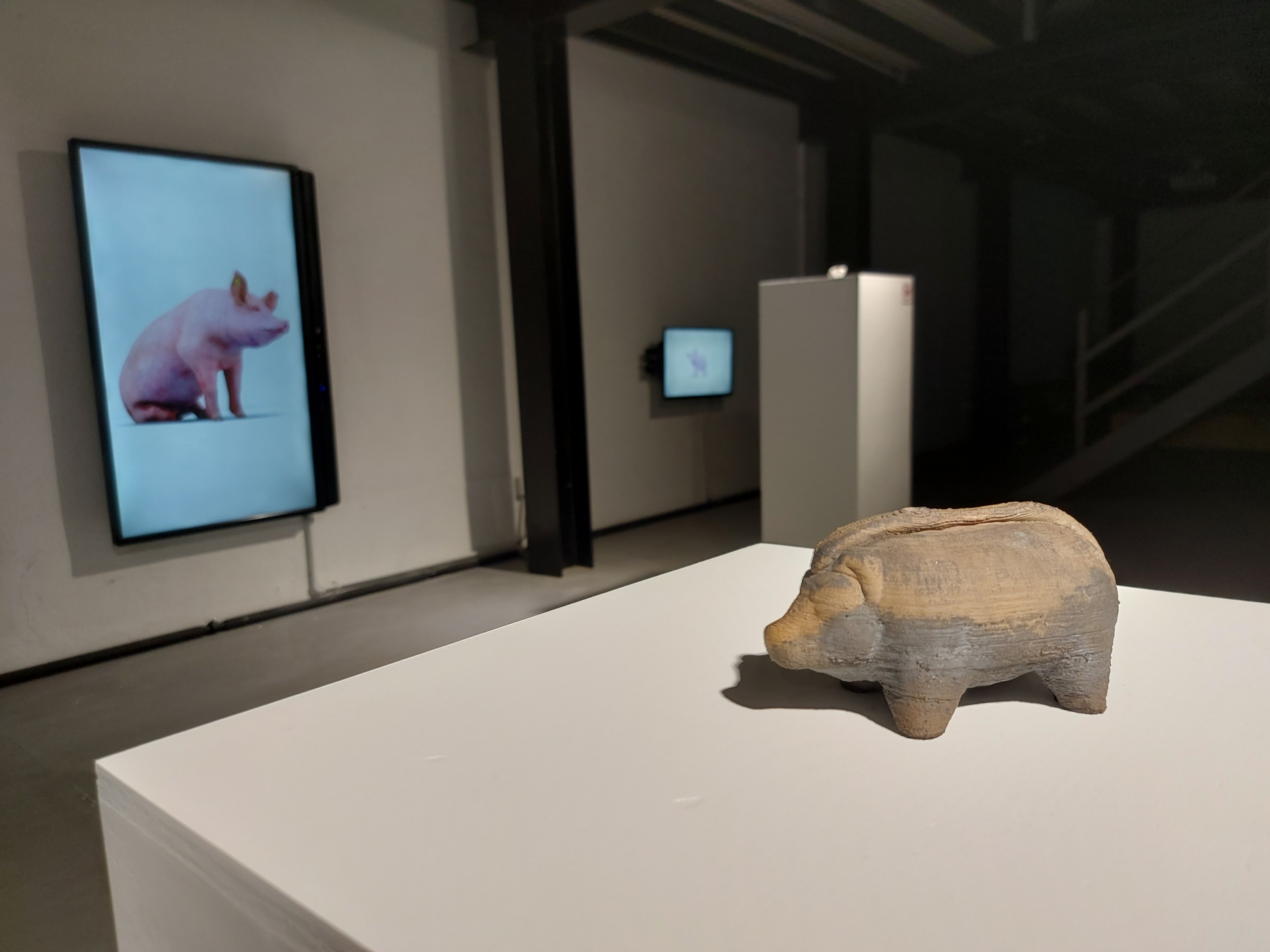 Installation view: Heather Dewey-Hagborg - Hybrid: an Interspecies opera | Single channel film and 3d-printed ceramic sculptures with cast glass pedestal surface