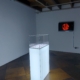 Installation view: Heather Dewey-Hagborg - Lovesick: the Transfection (2019) | Custom retrovirus, glass (10 vials), two single channel HD videos, music arranged by the artist; Dimensions variable