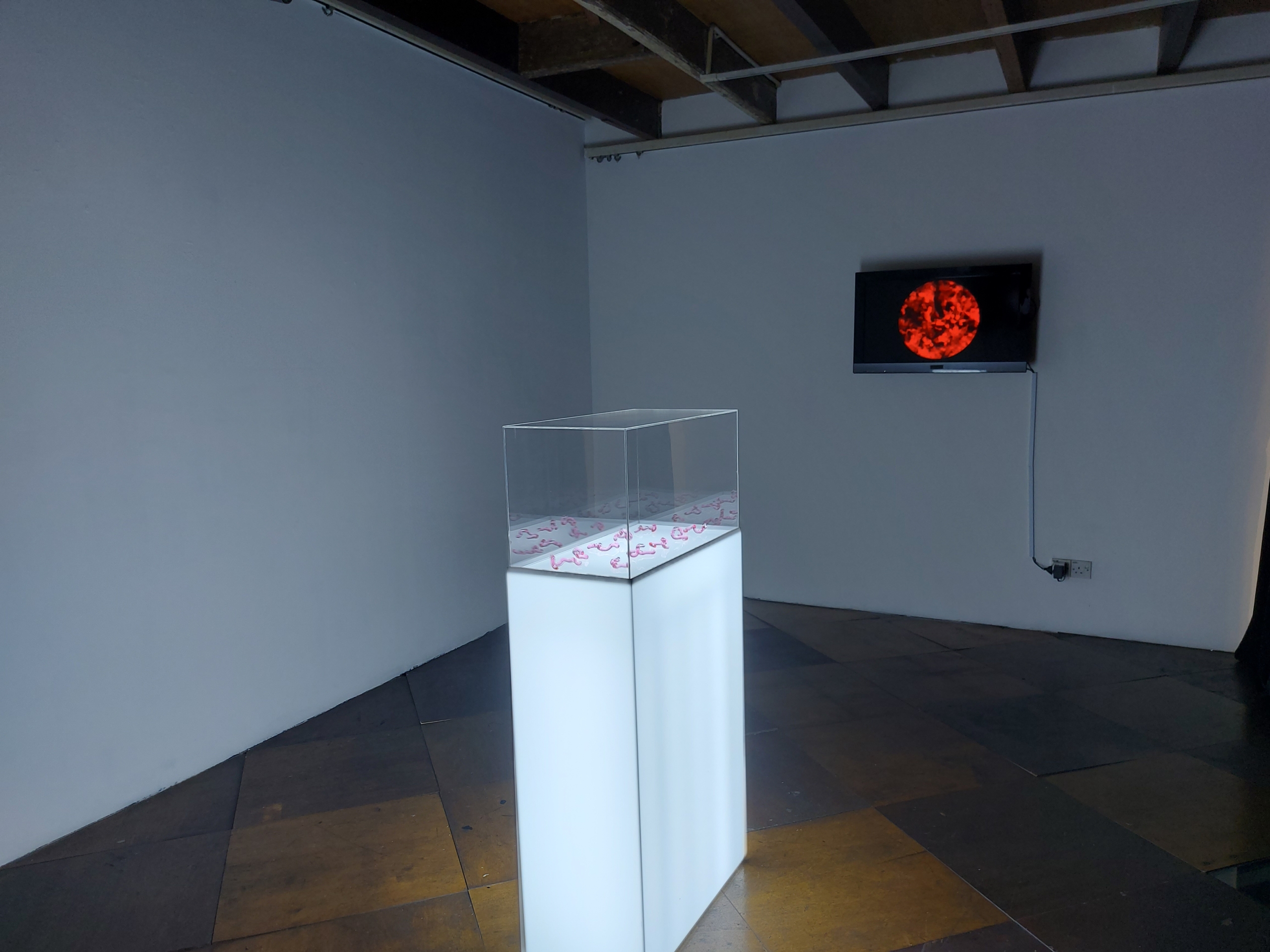 Installation view: Heather Dewey-Hagborg - Lovesick: the Transfection (2019) | Custom retrovirus, glass (10 vials), two single channel HD videos, music arranged by the artist; Dimensions variable