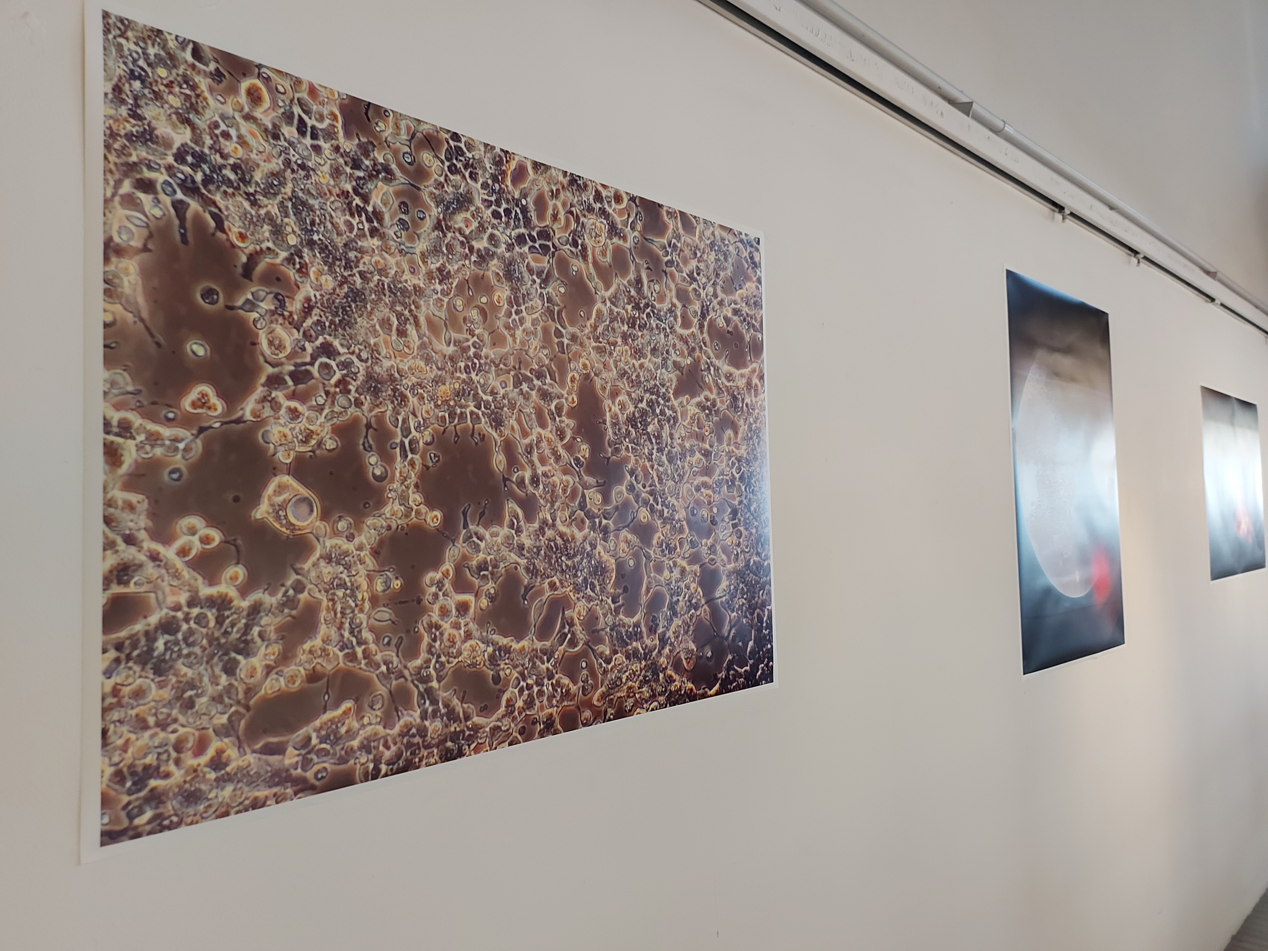 Installation view: Heather Dewey-Hagborg - Lovesick: the Transfection (2019) | Custom retrovirus, glass (10 vials), two single channel HD videos, music arranged by the artist; Dimensions variable