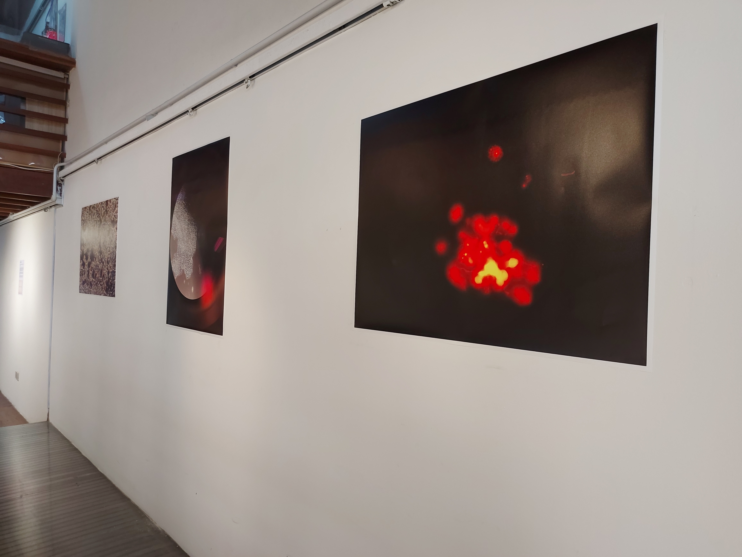 Installation view: Heather Dewey-Hagborg - Lovesick: the Transfection (2019) | Custom retrovirus, glass (10 vials), two single channel HD videos, music arranged by the artist; Dimensions variable