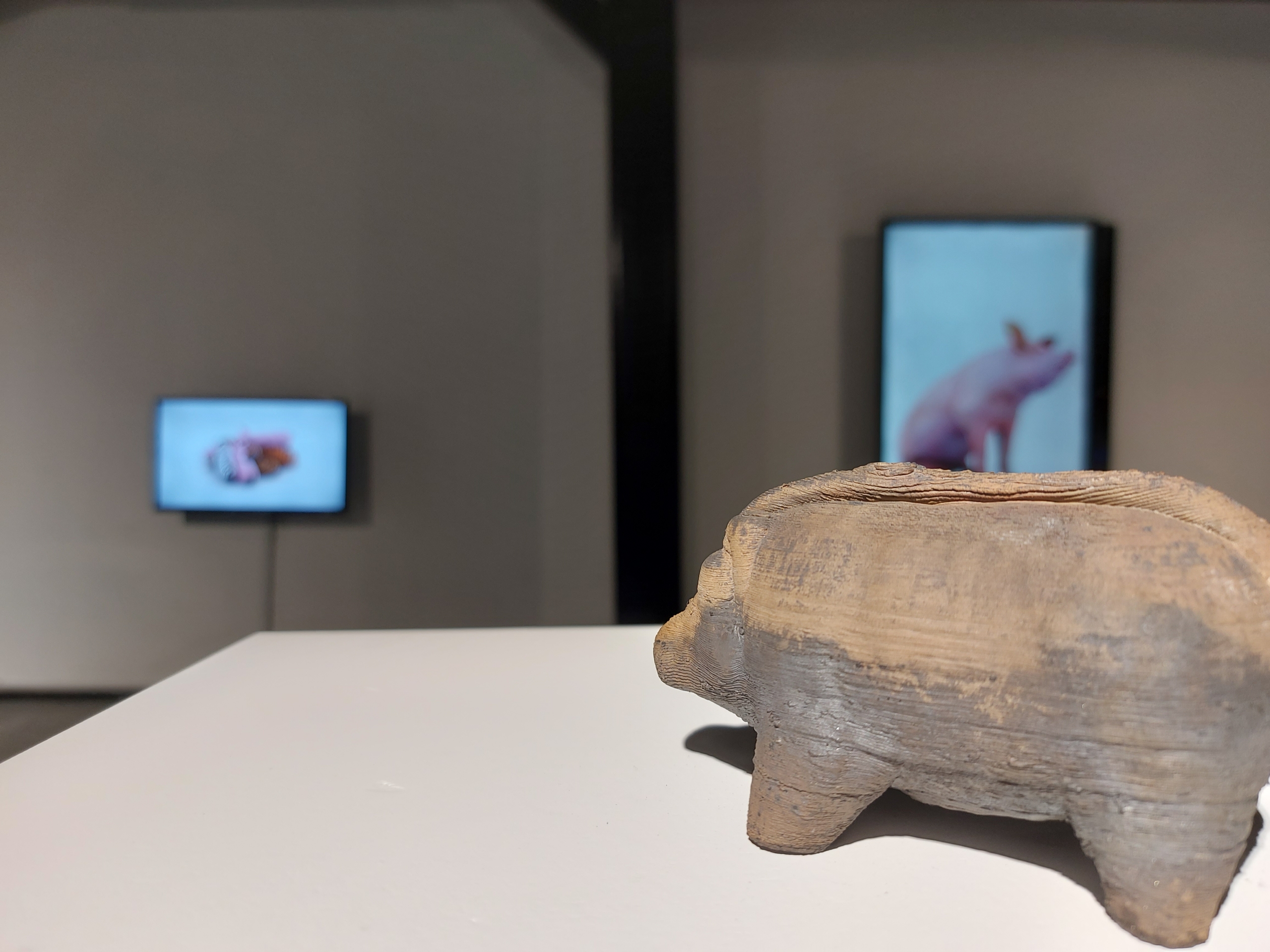 Installation view: Heather Dewey-Hagborg - Hybrid: an Interspecies opera | Single channel film and 3d-printed ceramic sculptures with cast glass pedestal surface