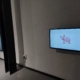 Installation view: Heather Dewey-Hagborg - Hybrid: an Interspecies opera | Single channel film and 3d-printed ceramic sculptures with cast glass pedestal surface
