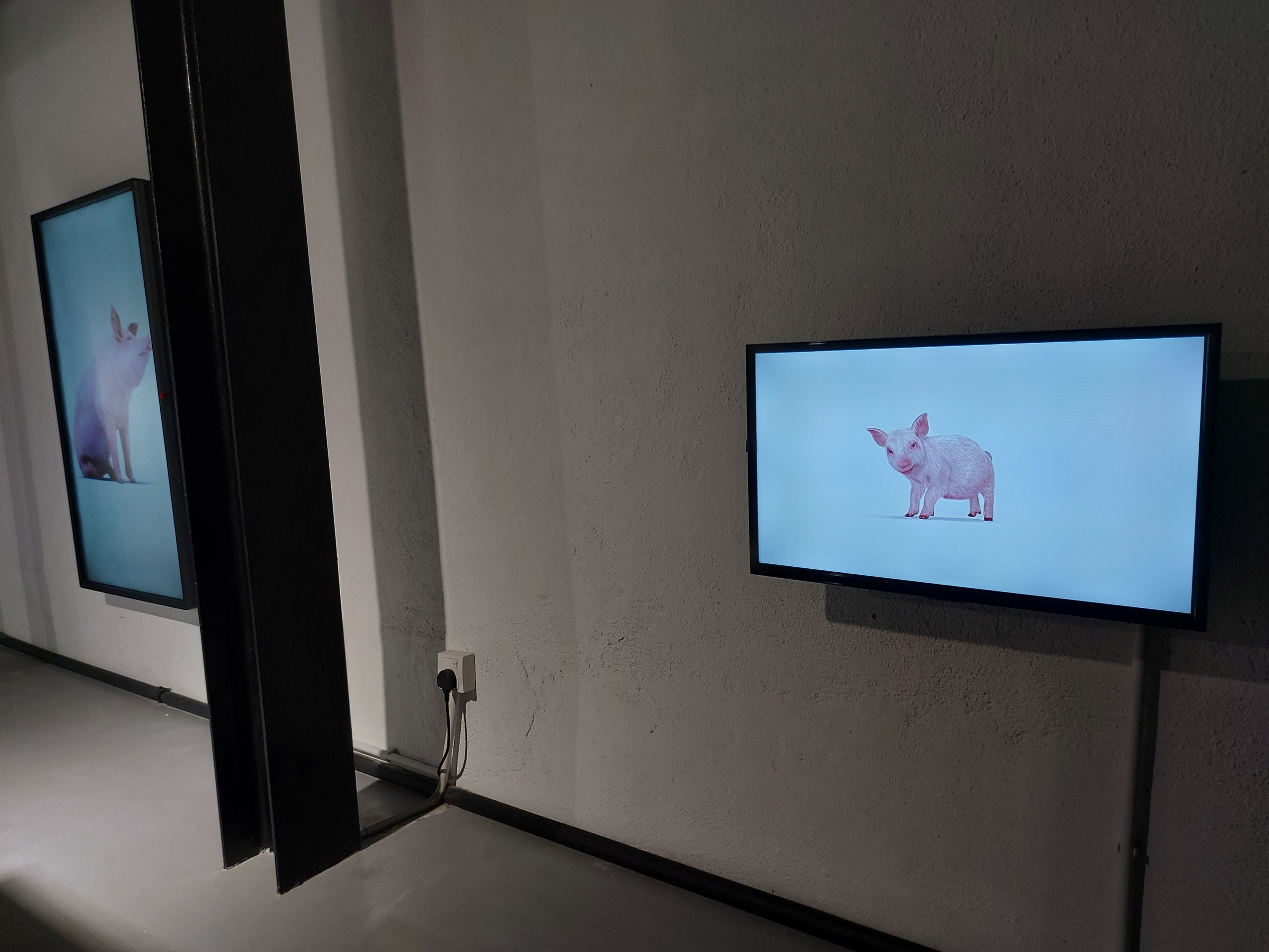 Installation view: Heather Dewey-Hagborg - Hybrid: an Interspecies opera | Single channel film and 3d-printed ceramic sculptures with cast glass pedestal surface