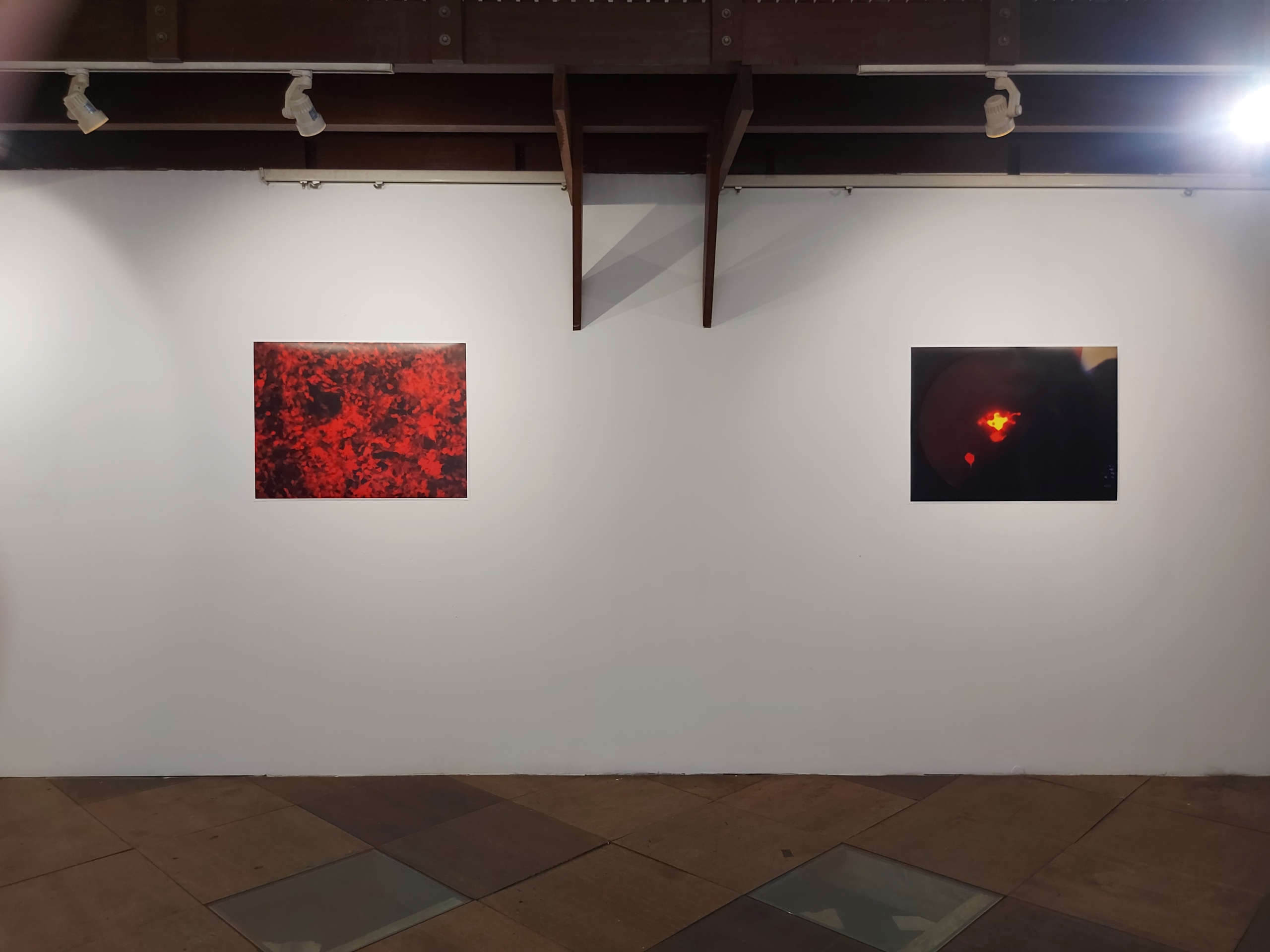 Installation view: Heather Dewey-Hagborg - Lovesick: the Transfection (2019) | Custom retrovirus, glass (10 vials), two single channel HD videos, music arranged by the artist; Dimensions variable